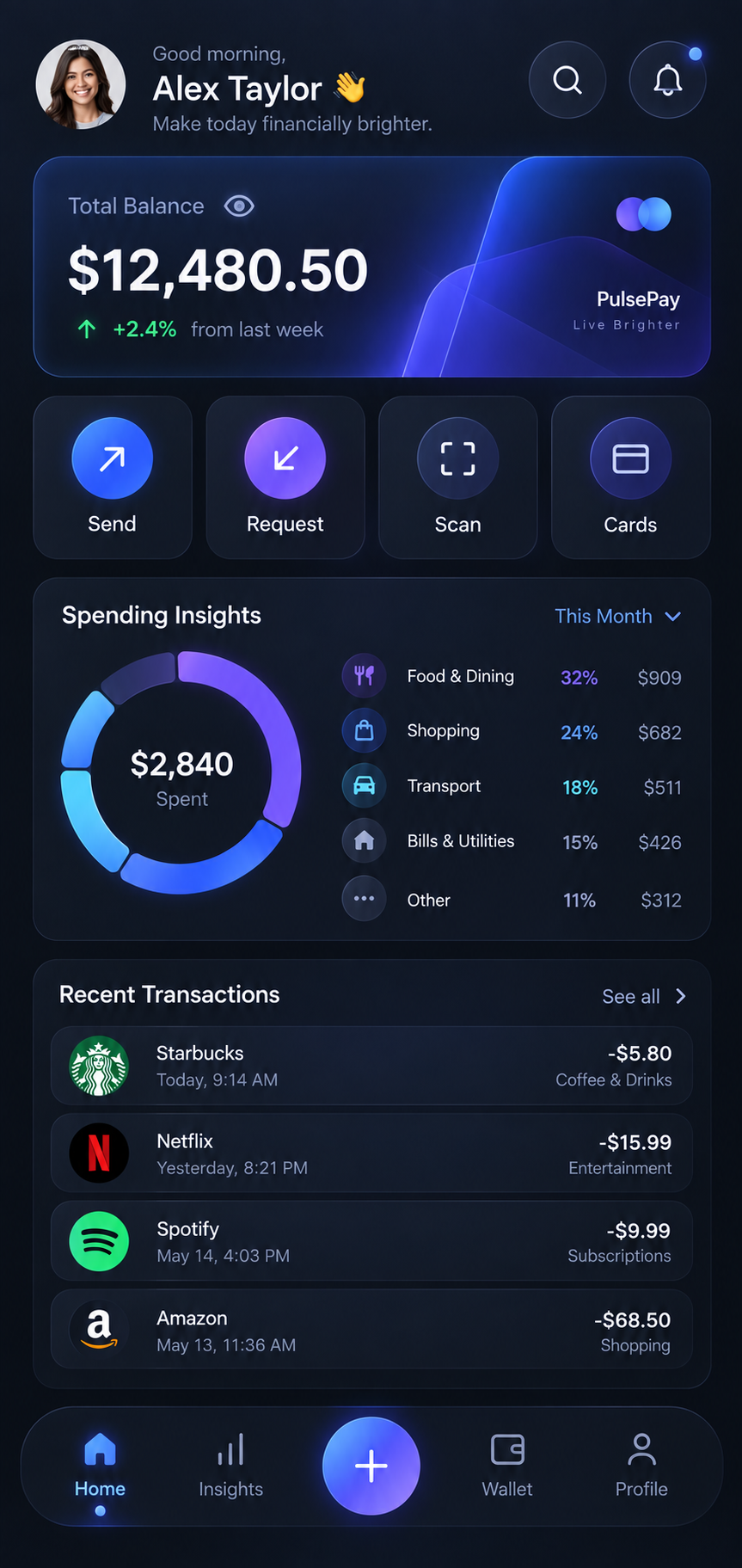 PulsePay spending insights app concept